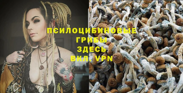 jwh Алексеевка