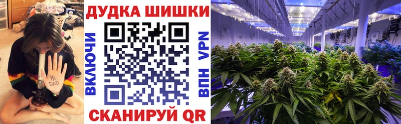 Конопля сатива  Котельники 